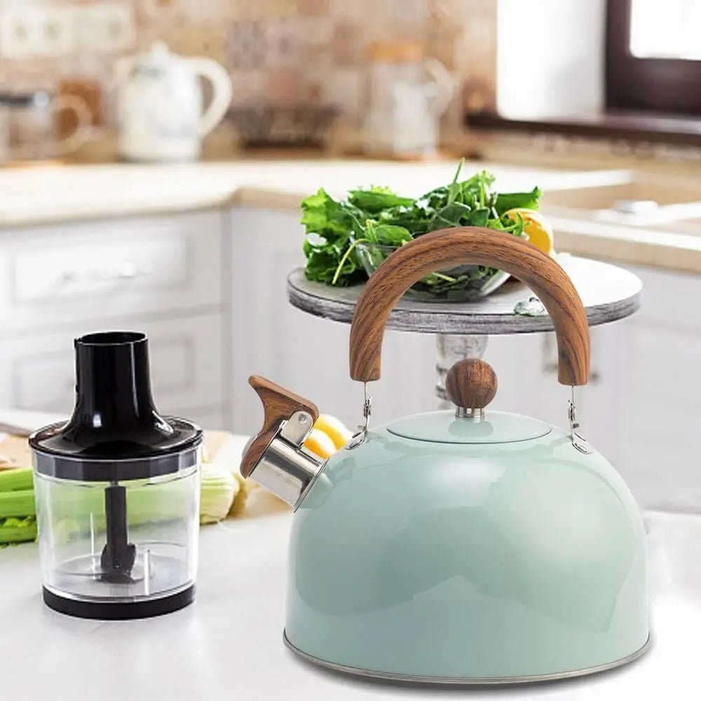 BOILVIA – 3L Whistling Stainless Kettle with Comfort Grip Handle