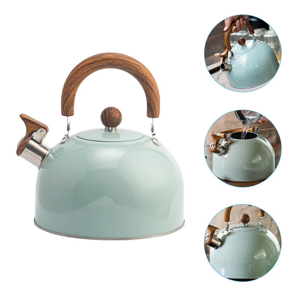 BOILVIA – 3L Whistling Stainless Kettle with Comfort Grip Handle