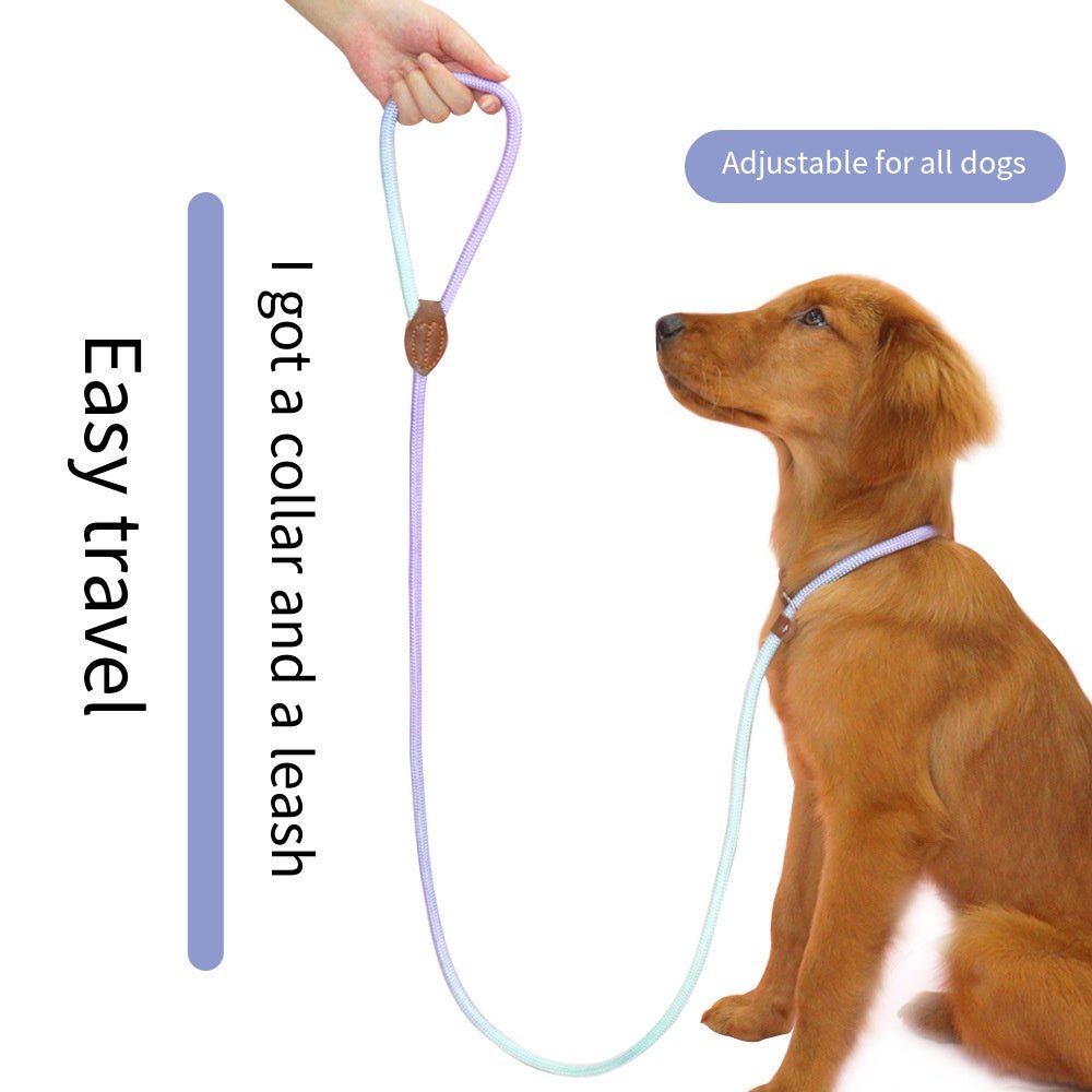 CLÉMENTINE – Trela Colorida para Cães para Passeios com Estilo