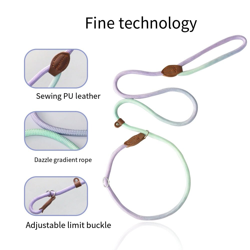 CLÉMENTINE – Trela Colorida para Cães para Passeios com Estilo