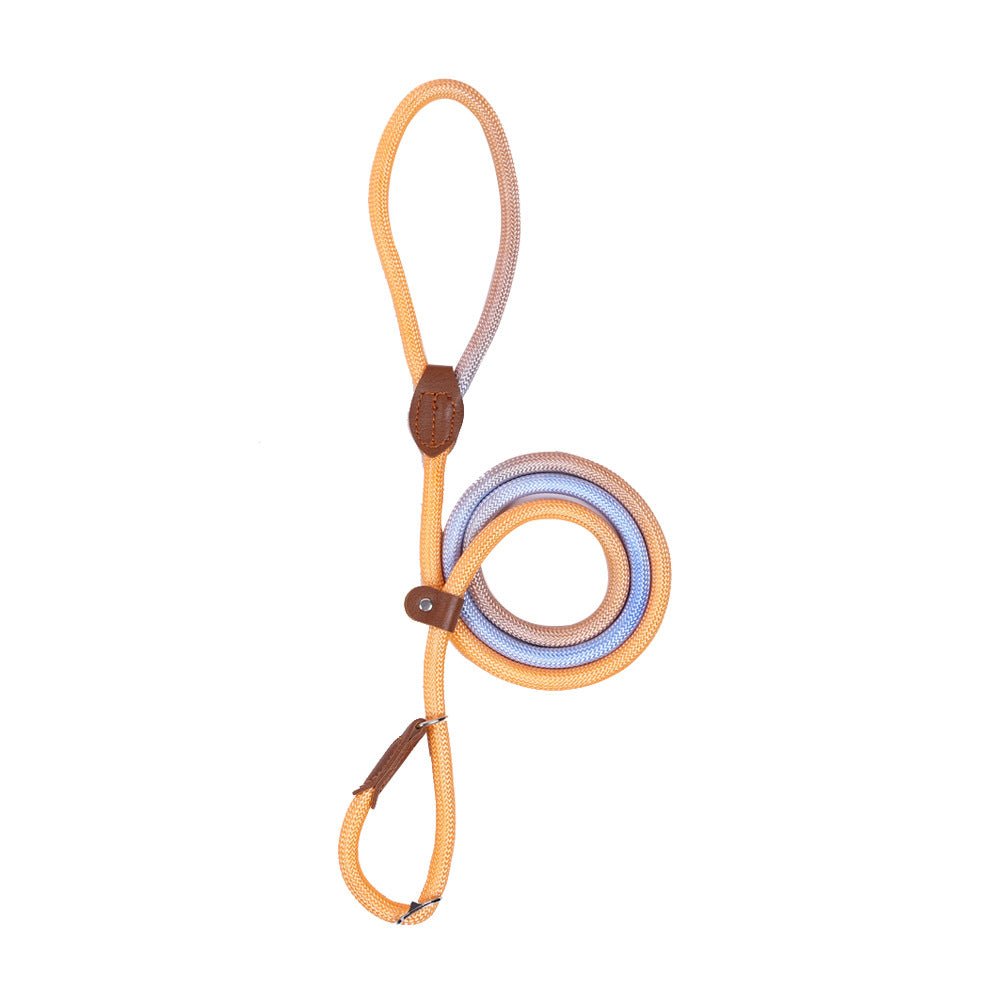 CLÉMENTINE – Trela Colorida para Cães para Passeios com Estilo