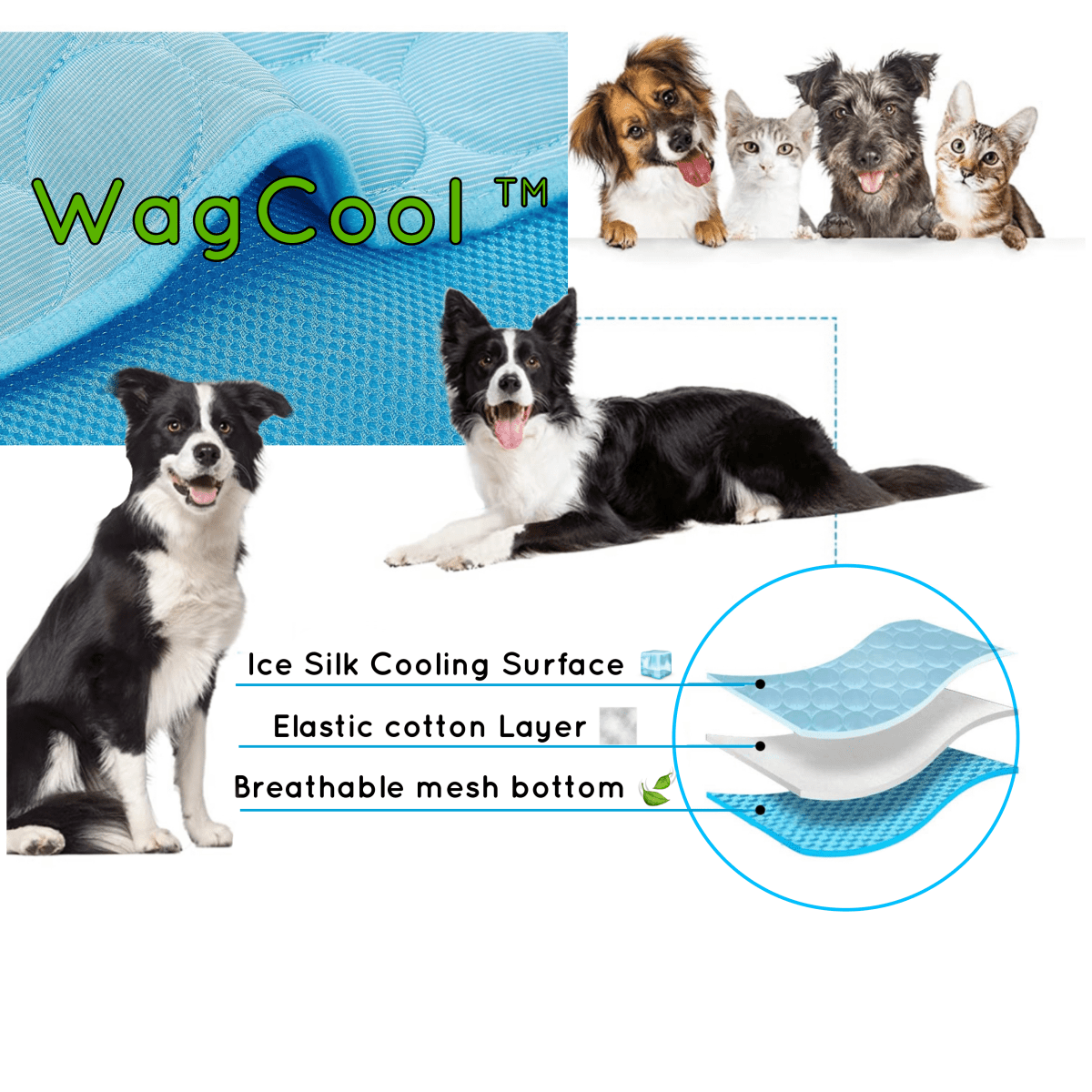 CoolPet - Cooling Dog Mat with Pressure-Activated Ice-Silk Fabric 3