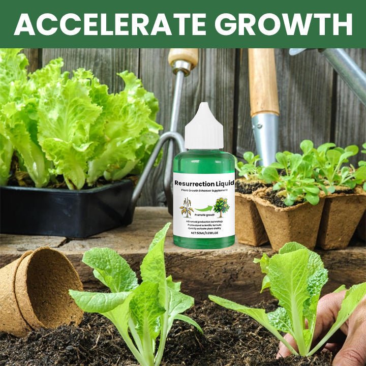 PLANTVITAL – Flüssigkeit für Wachstum & Regeneration für stärkere, gesündere Pflanzen