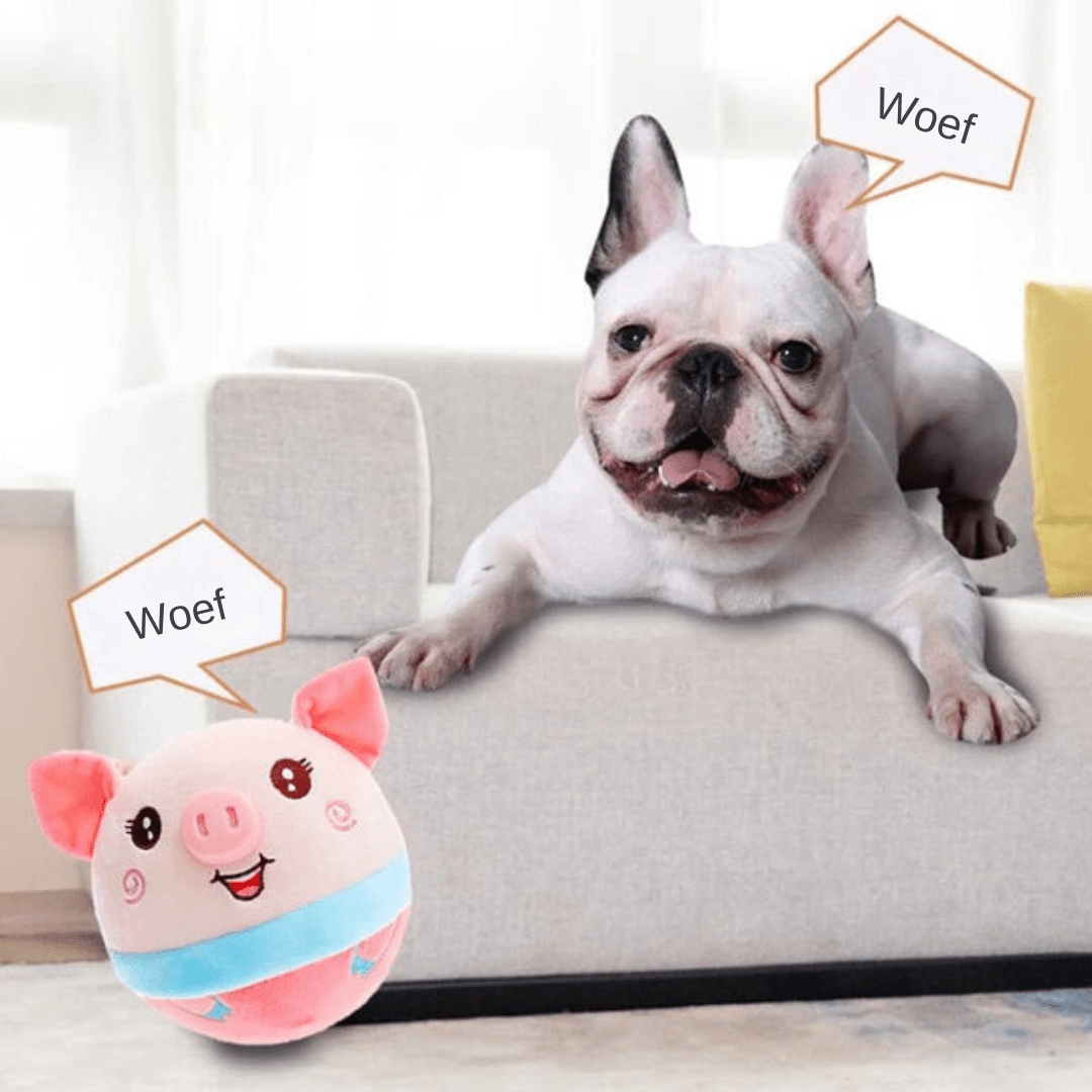 Rover - Interactive Moving Dog Toy With Motion Sensors for Active Play 5
