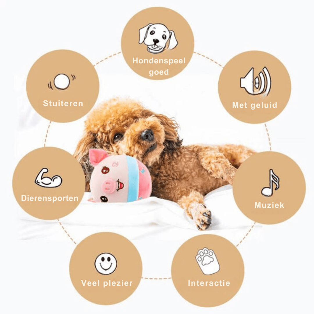 Rover - Interactive Moving Dog Toy With Motion Sensors for Active Play 4