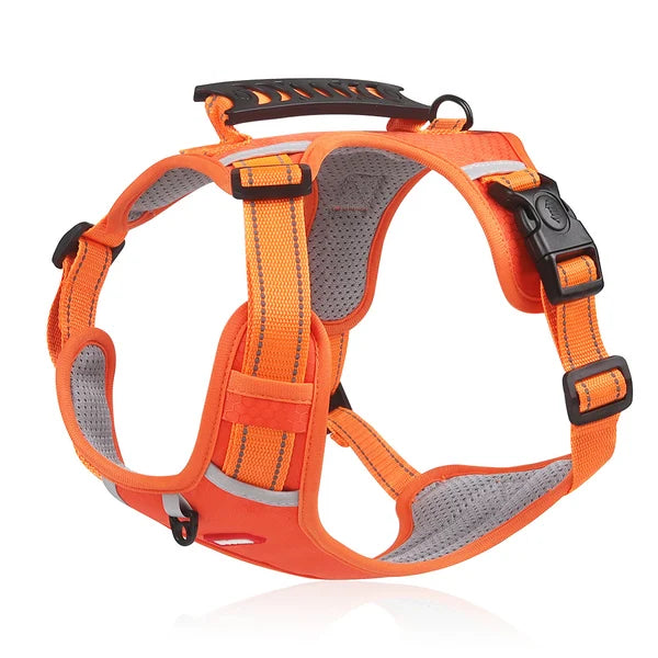 WALKEASE HARNESS - Anti-trekharnas voor ontspannen wandelingen en een gezonde houding