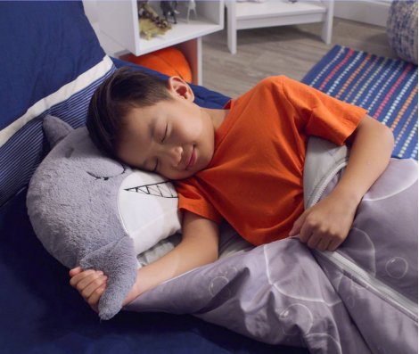 Dreamipals 2-in-1 Sleeping Bag and Plush Toy – Cozy, Portable Sleep Solution for Kids