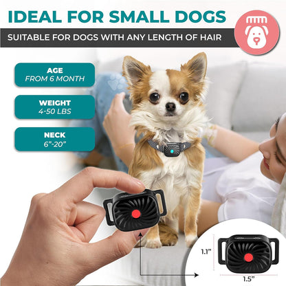 BARKWISE MINI – Collar Antiladridos Efectivo para Perros Pequeños