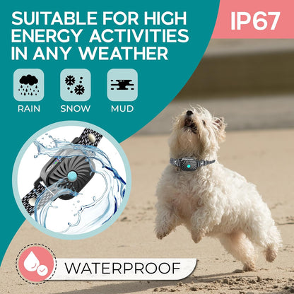 BARKWISE MINI – Collar Antiladridos Efectivo para Perros Pequeños