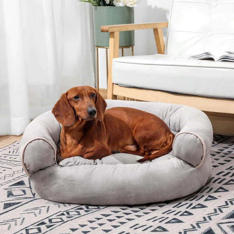CANICLOUD – Orthopedic Dog Sofa Bed with Pressure-Relief Padding for Senior Dogs 3