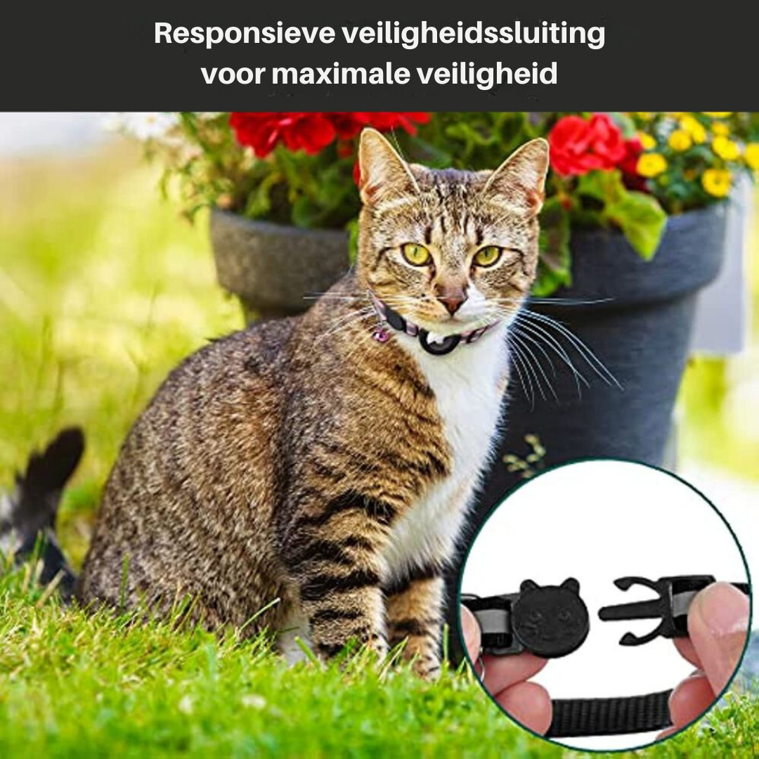 CATSAFE TRACK – GPS tracker collar for safety & visibility in cats
