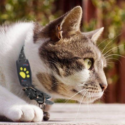 GPS Tracker for Cats – Lightweight Pet Locator with Real-Time Updates