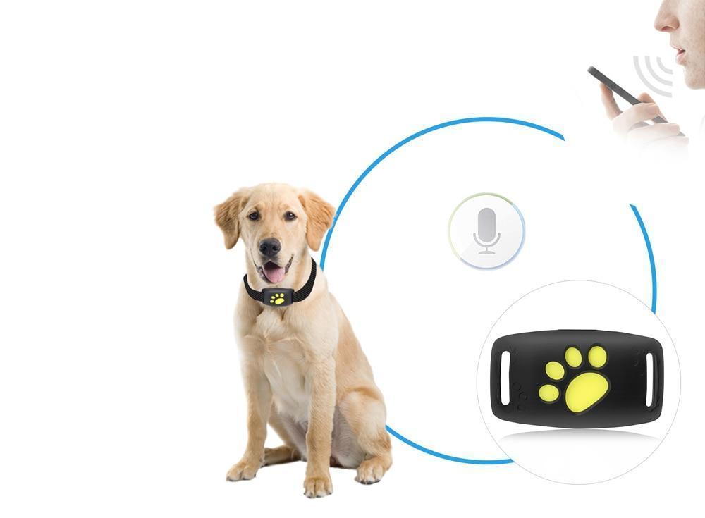 GPS Tracker for Cats – Lightweight Pet Locator with Real-Time Updates