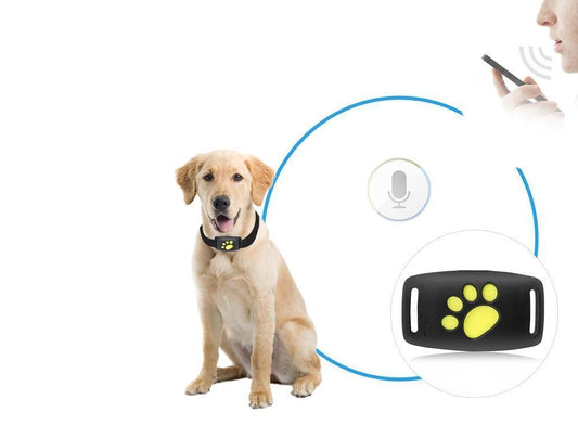 GPS Tracker for Cats – Lightweight Pet Locator with Real-Time Updates