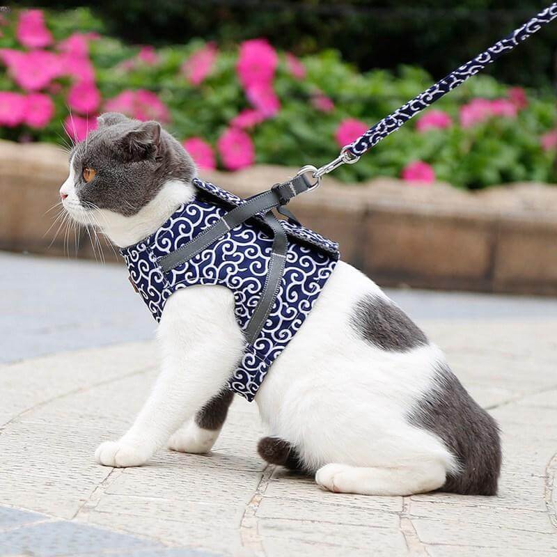 Pettorina PAWVENTURE – Set Pettorina per Gatto con Rete Traspirante e Guinzaglio