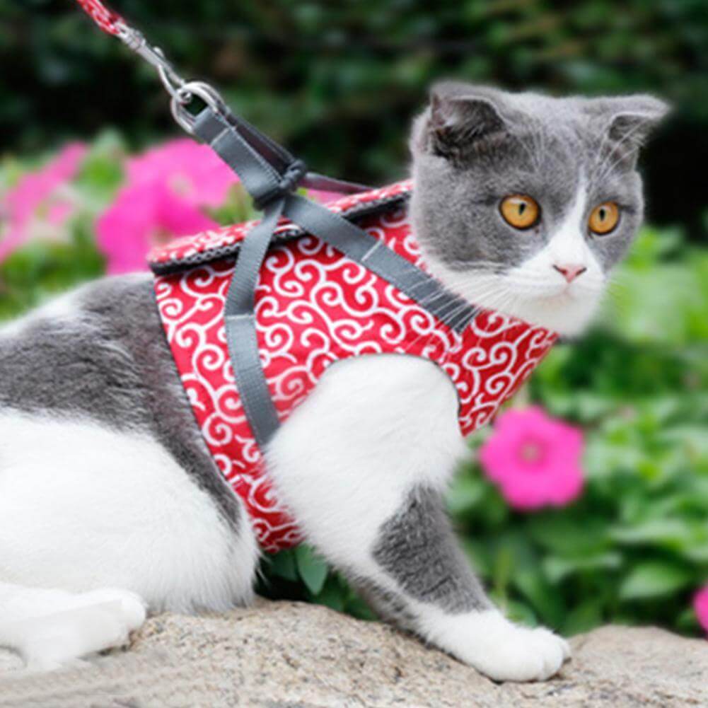 Pettorina PAWVENTURE – Set Pettorina per Gatto con Rete Traspirante e Guinzaglio