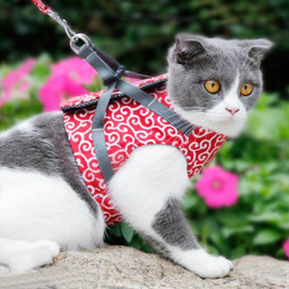 Pettorina PAWVENTURE – Set Pettorina per Gatto con Rete Traspirante e Guinzaglio