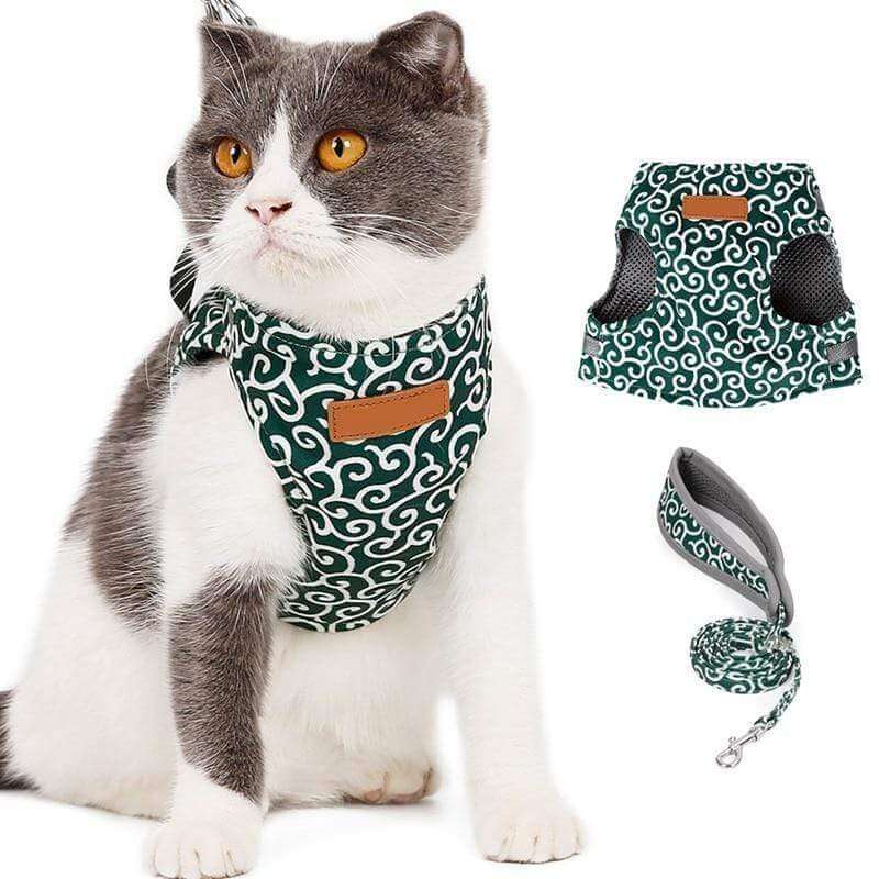 Pettorina PAWVENTURE – Set Pettorina per Gatto con Rete Traspirante e Guinzaglio