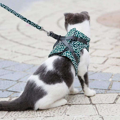 Pettorina PAWVENTURE – Set Pettorina per Gatto con Rete Traspirante e Guinzaglio
