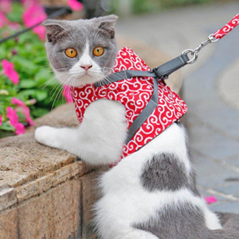 Pettorina PAWVENTURE – Set Pettorina per Gatto con Rete Traspirante e Guinzaglio