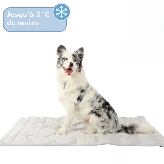Coolpaws cooling mat - self -cooling dog carpet for hot summer days 0