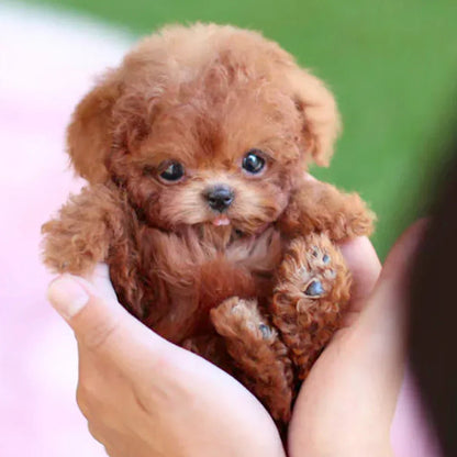 CuddlePup – interaktívny plyšový pes s realistickými pohybmi