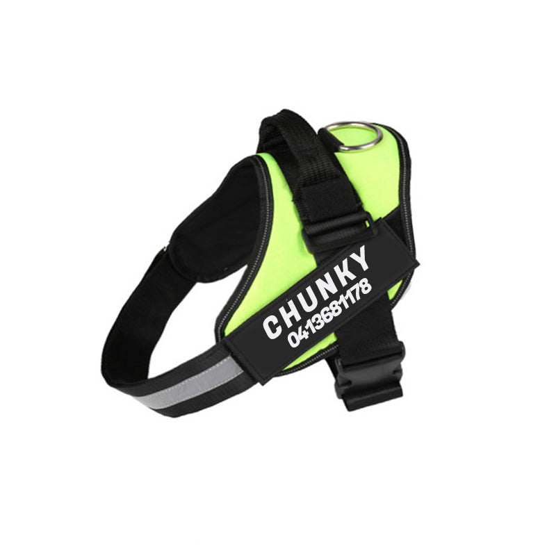 DogSafe harness - personalized dog harness for comfort & security 13