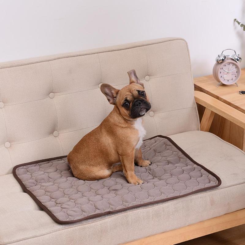 Dogcool Mat - self -cooling dog mat for overheating in summer 5