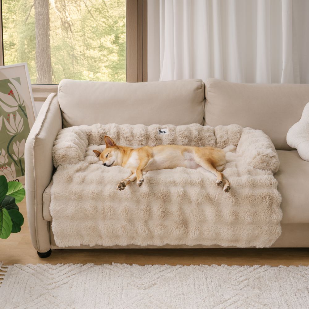  Plus henest-soft dog sofa bed for furniture protection & cuddly comfort-4