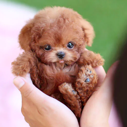 PAWSIMATE - Perro robot realista para jugar interactivamente