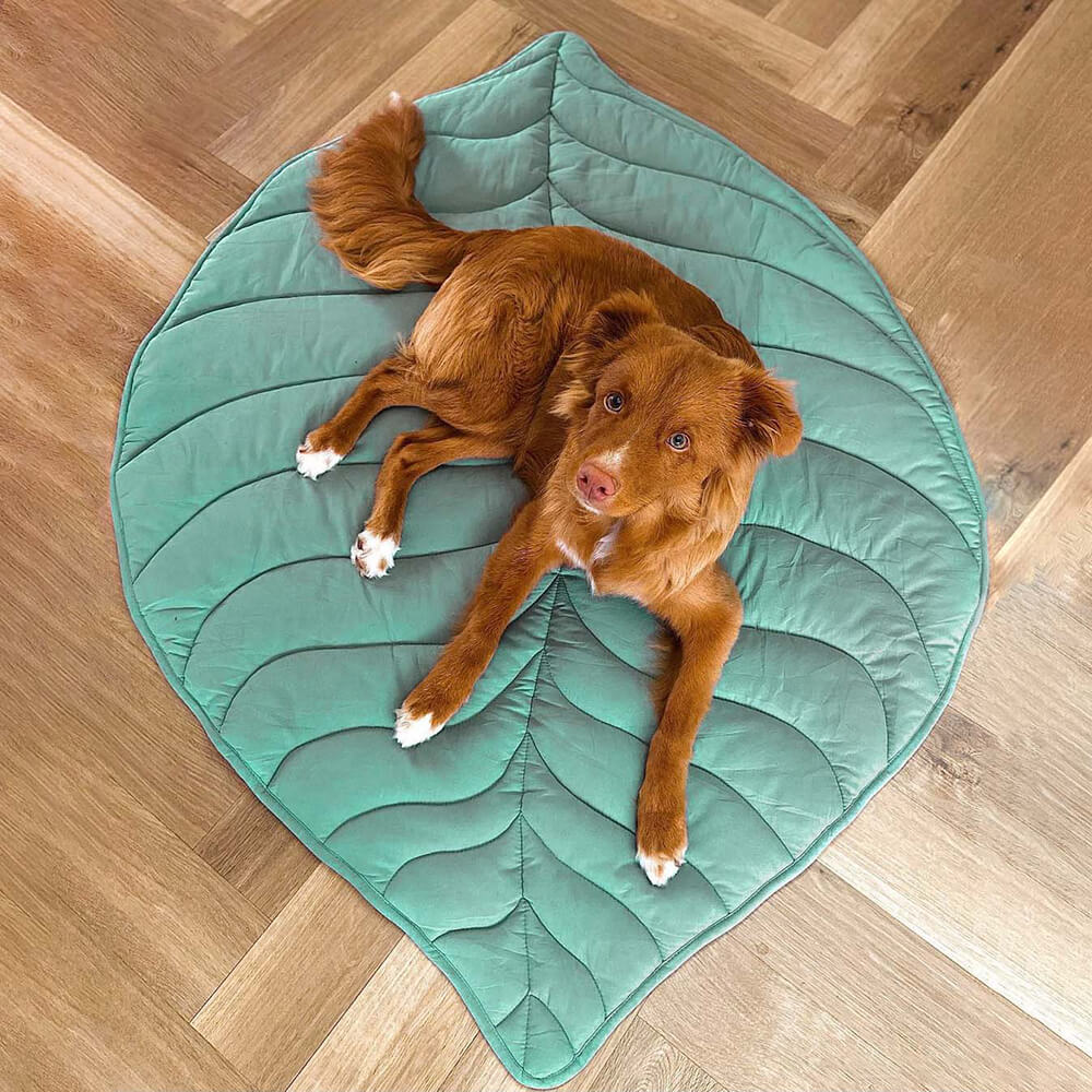 Leaf-shaped dog blanket for large dogs-machine washable, versatile and stylish, cotton polyester, 107-130 cm 12