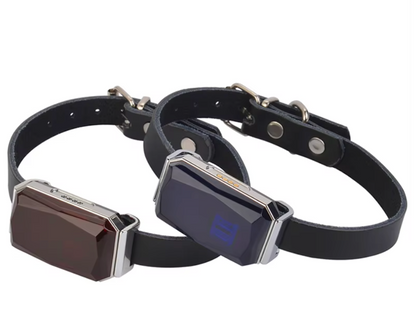 Mini-GPS-Tracker G12 - Echtzeit-Tracking für Sicherheit und Schutz