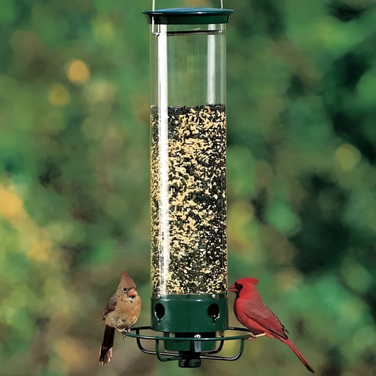 NutriGuard – Eichhörnchensicheres Vogelhaus mit gewichtsgesteuertem Futterspender