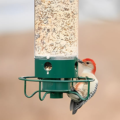 NutriGuard – Eichhörnchensicheres Vogelhaus mit gewichtsgesteuertem Futterspender