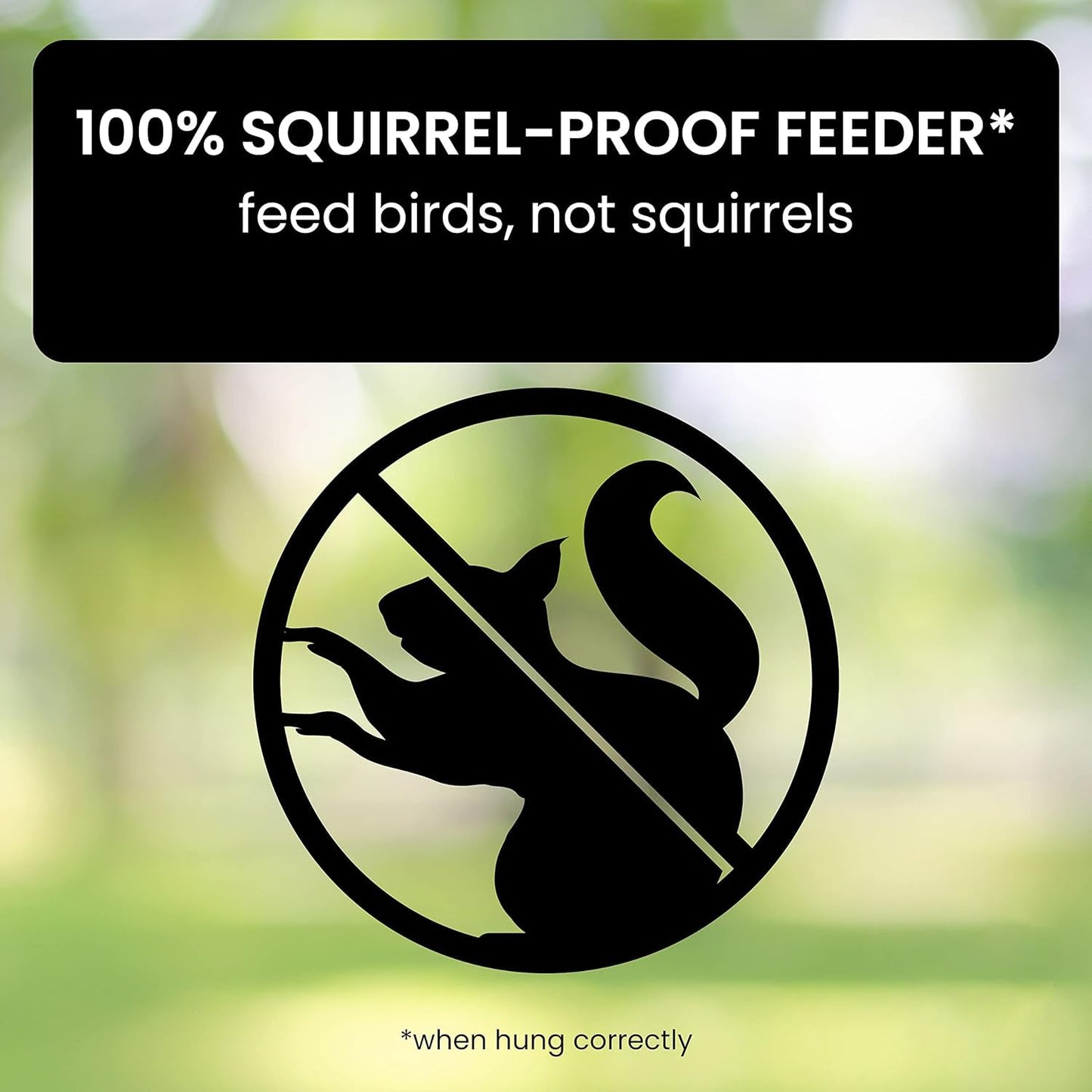 NutriGuard – Eichhörnchensicheres Vogelhaus mit gewichtsgesteuertem Futterspender