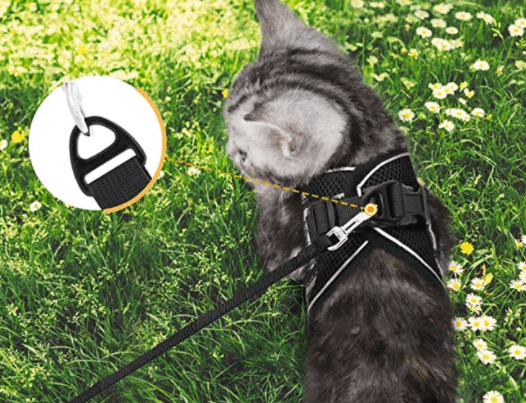  Adventure harness - safe cat dishes with leash for walks outdoors-6