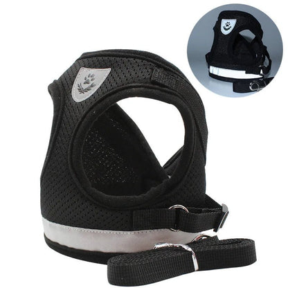Arnês de Aventura – Arnês para Gatos à Prova de Fugas com Trela para Exploração Segura ao Ar Livre