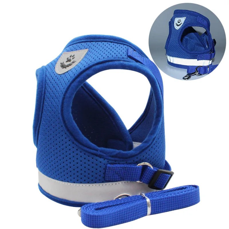 Arnês de Aventura – Arnês para Gatos à Prova de Fugas com Trela para Exploração Segura ao Ar Livre
