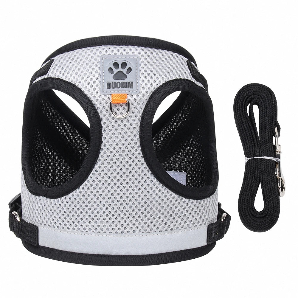 Arnês de Aventura – Arnês para Gatos à Prova de Fugas com Trela para Exploração Segura ao Ar Livre