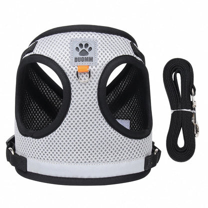 Arnês de Aventura – Arnês para Gatos à Prova de Fugas com Trela para Exploração Segura ao Ar Livre