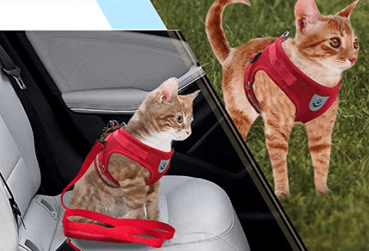  Adventure harness - safe cat dishes with leash for walks outdoors-5