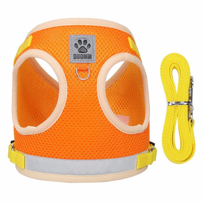 Arnês de Aventura – Arnês para Gatos à Prova de Fugas com Trela para Exploração Segura ao Ar Livre