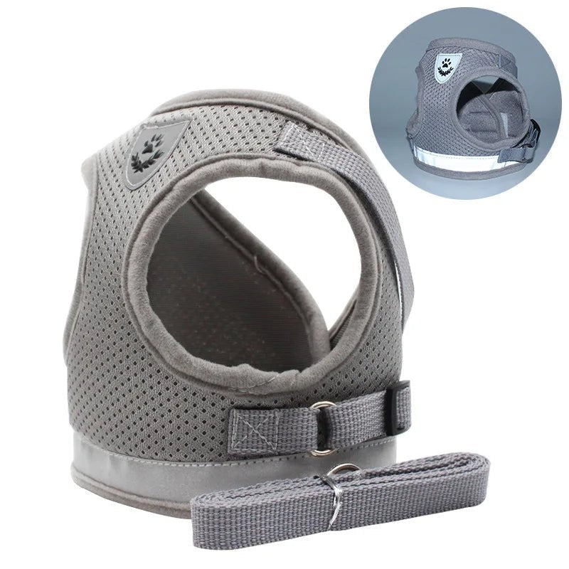 Arnês de Aventura – Arnês para Gatos à Prova de Fugas com Trela para Exploração Segura ao Ar Livre