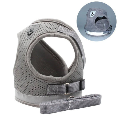 Arnês de Aventura – Arnês para Gatos à Prova de Fugas com Trela para Exploração Segura ao Ar Livre