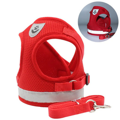 Arnês de Aventura – Arnês para Gatos à Prova de Fugas com Trela para Exploração Segura ao Ar Livre