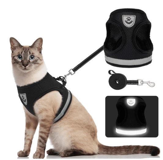  Adventure harness - safe cat dishes with leash for walks outdoors-1