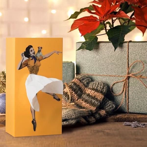 AEROBOX – Scatola per fazzoletti Flying Rock per decorazioni domestiche giocose