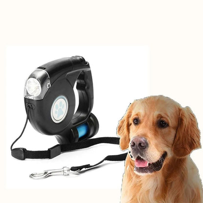  Amélie Lumière-LED dogs with integrated flashlight for evening walks-6