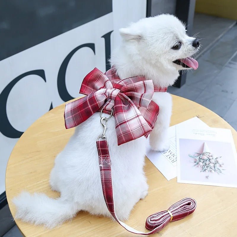  Aurélien Harnais - adjustable dog dishes with loop for comfortable walks-3