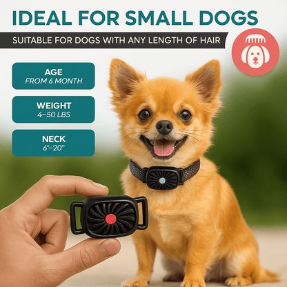 BARKWISE MINI – účinný obojok proti štekaniu pre malé psy